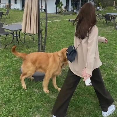 猛鬼街